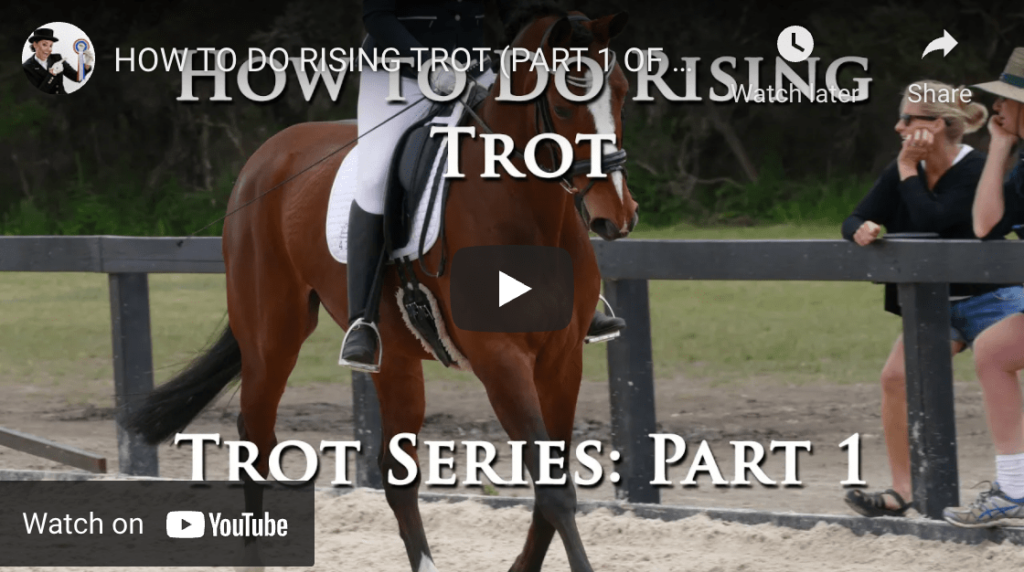 how to rising trot on a horse