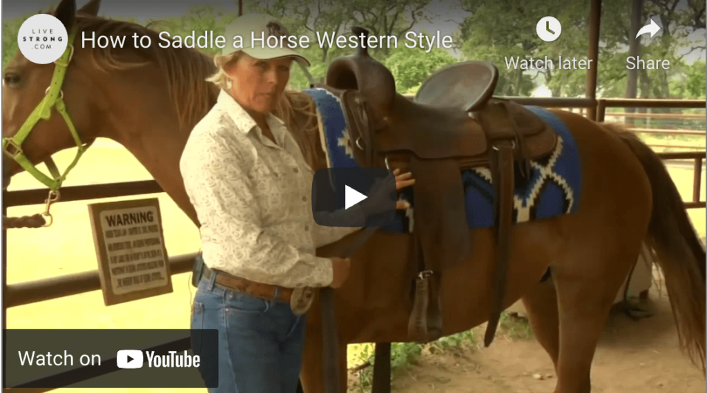 how to saddle up western horse