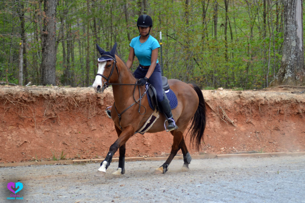 Paardrijden beginners (basisbeginselen, veiligheid, fouten)