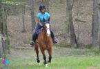 horse riding for beginners