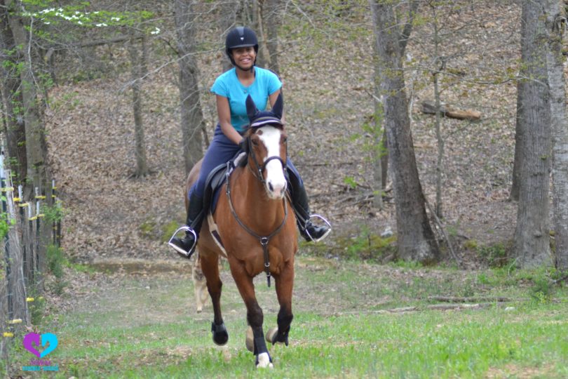 How To Ride A Horse For Beginners Basics Safety Mistakes