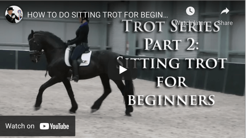how to do sitting trot on a horse