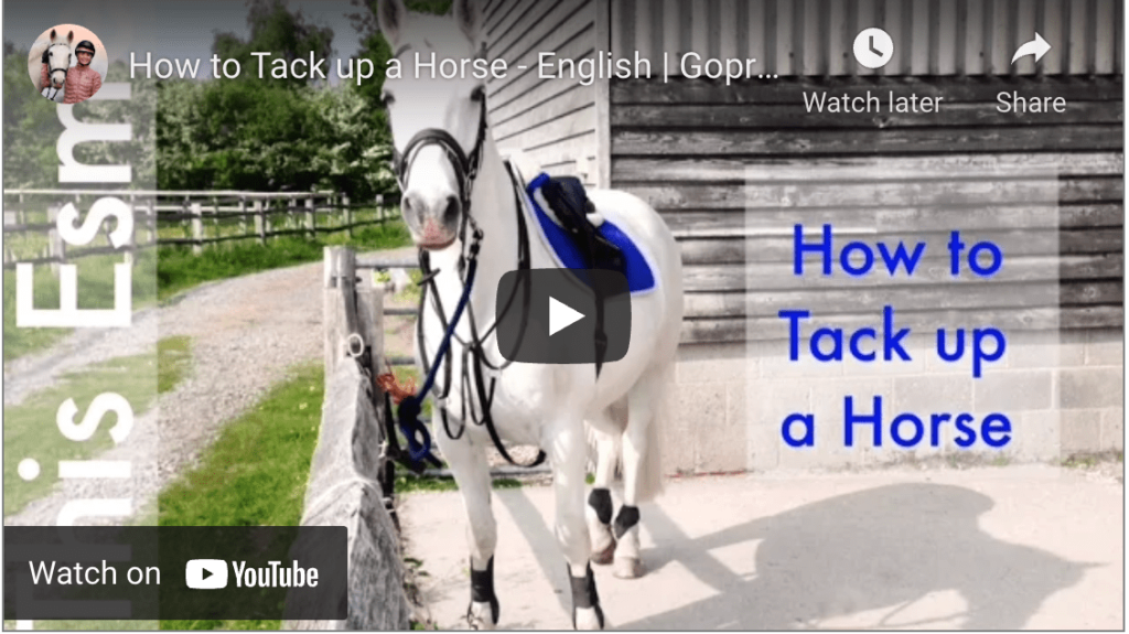 how to tack up a horse