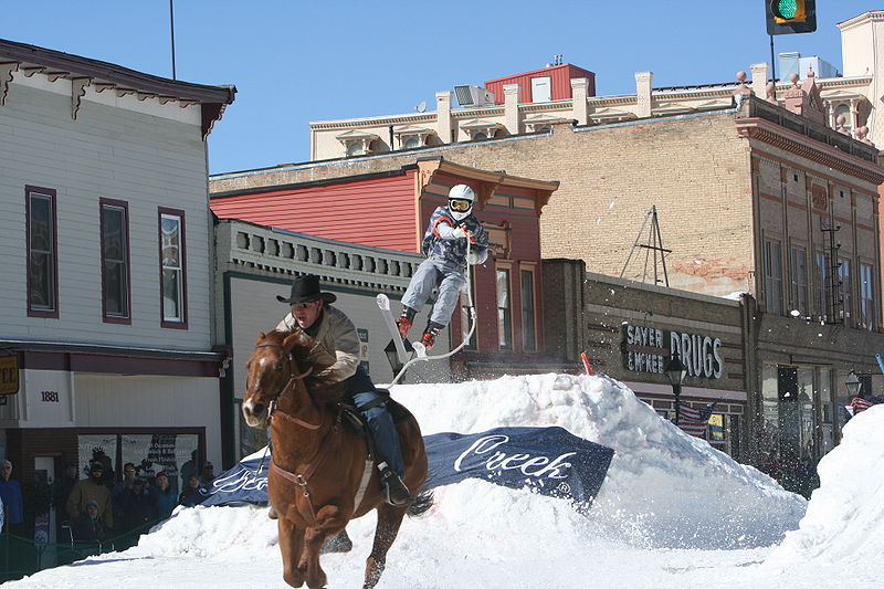 horse-skijoring-equipment