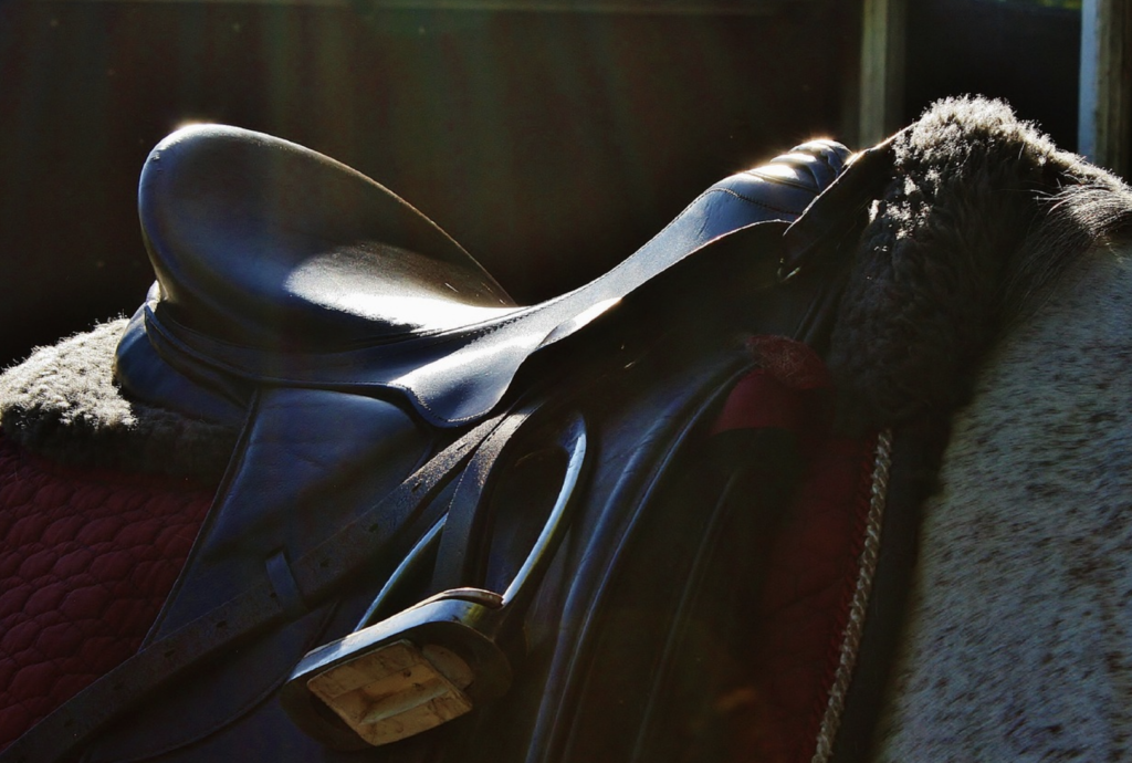 saddle-fitting-cost