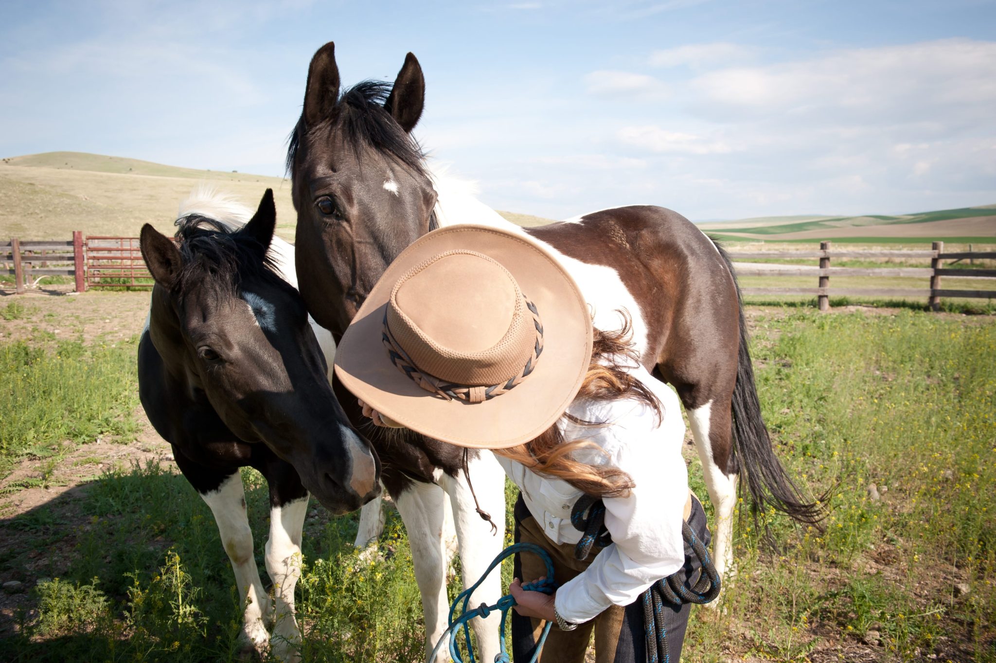 Montana Horse Ranch Jobs