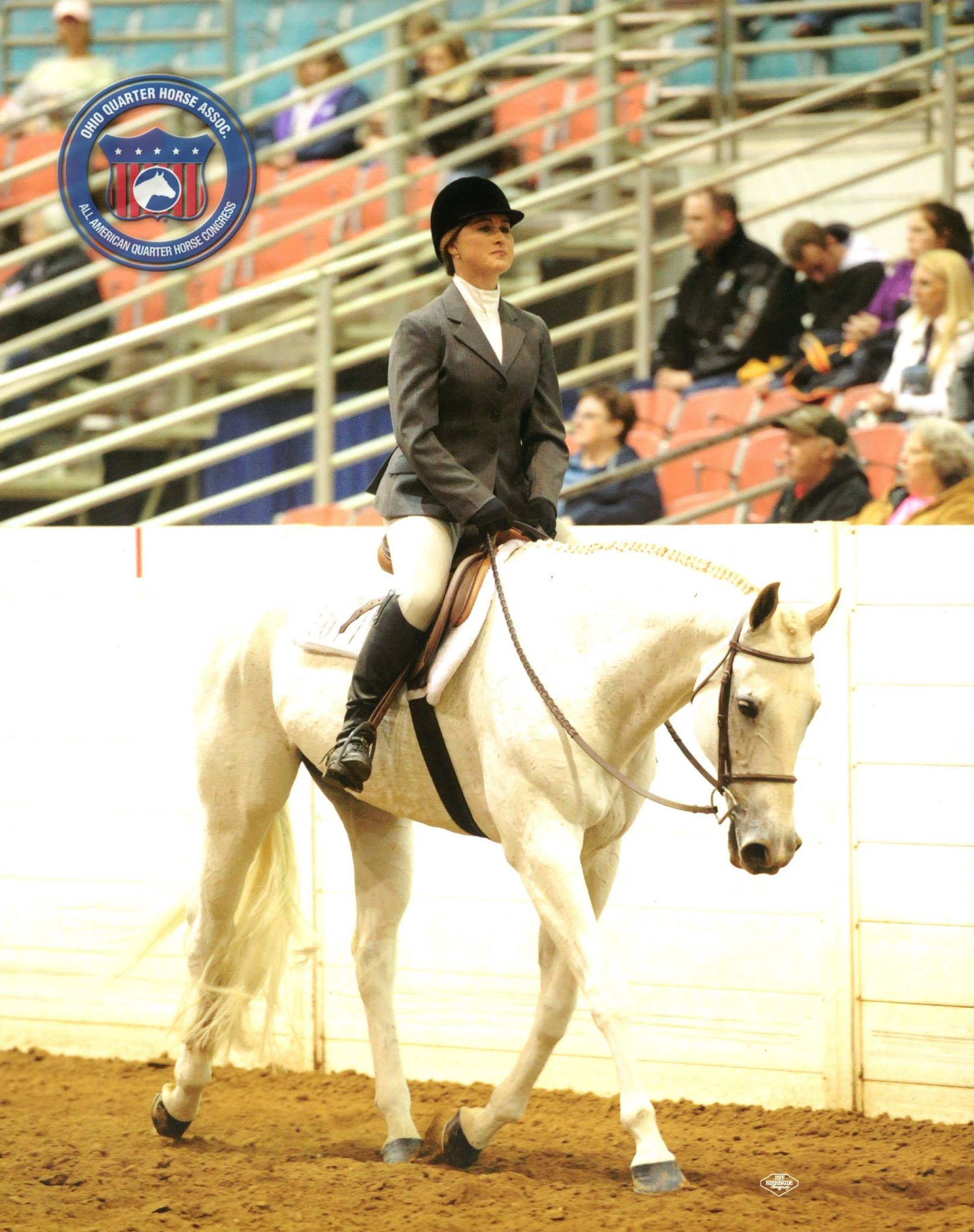 Horse Lifespan 101 (Life Stages, Teeth, Senior Horse Care)