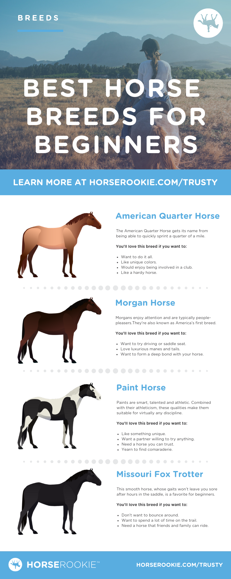 Best Horse Breeds for Beginners