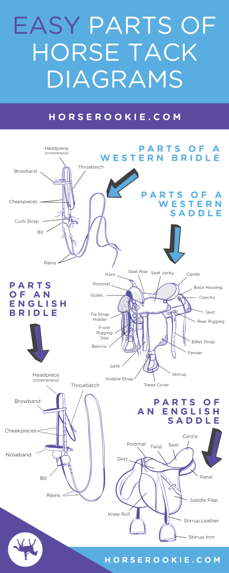 horse-riding-gear-for-beginners-quick-print-equipment-list