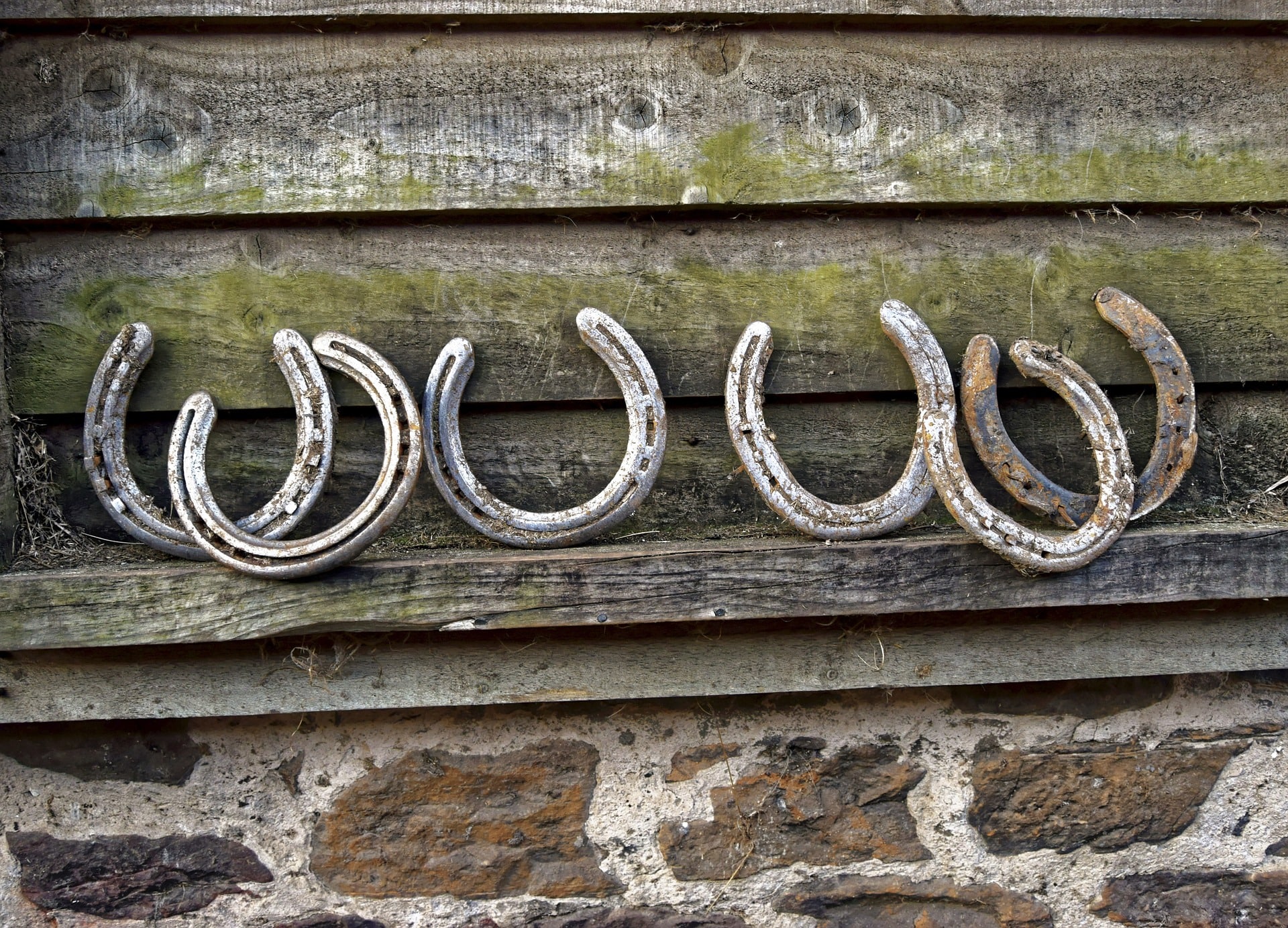 The Importance of Horseshoes for Your Horse