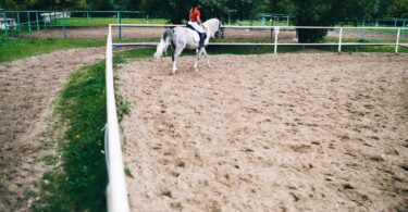 horse riding in a sand arena