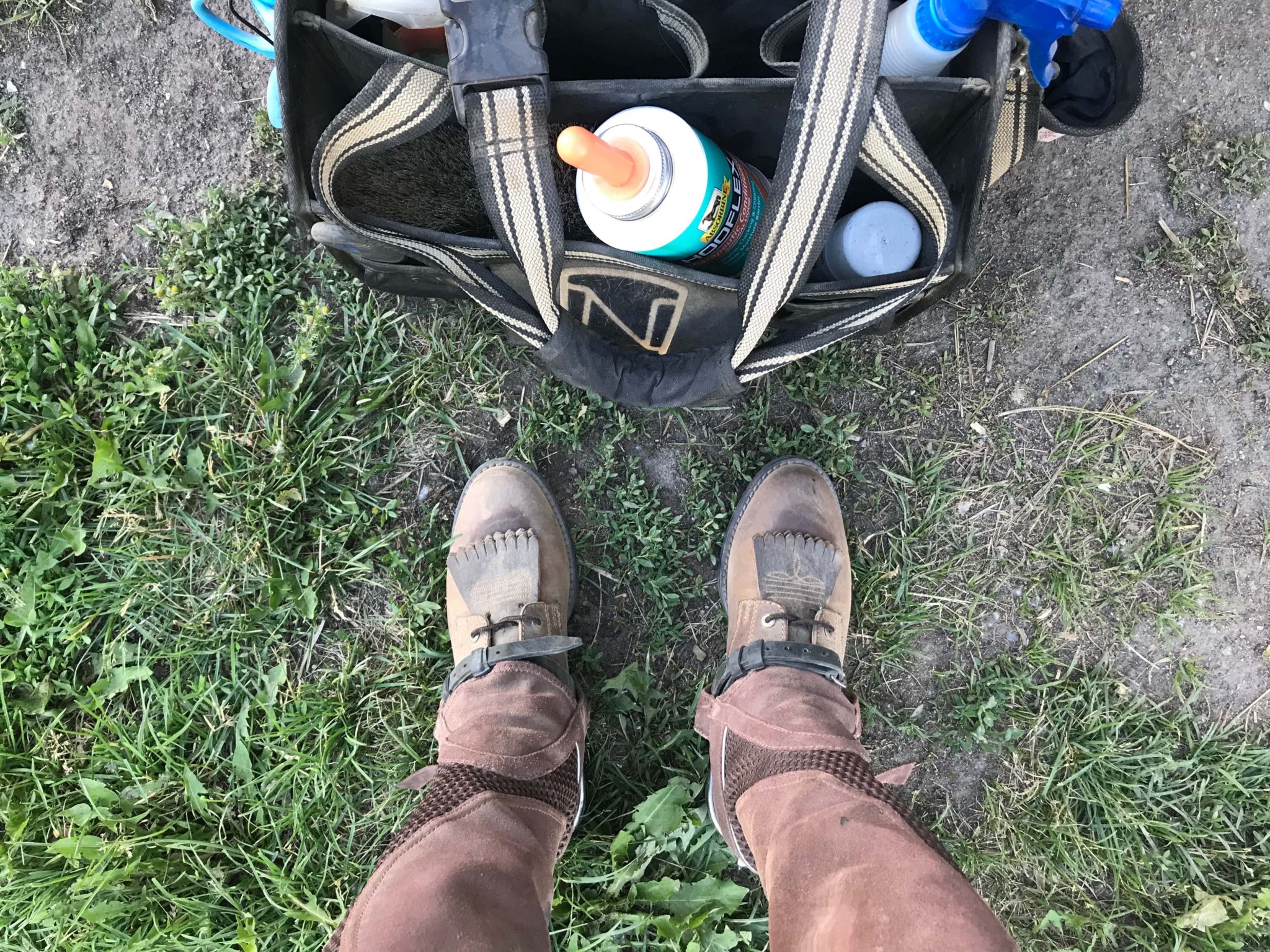 Bottes D'équitation Ariat Heritage Paddock - Taille 4.5 (37.5) - Neuves Avec étiquette - Femme