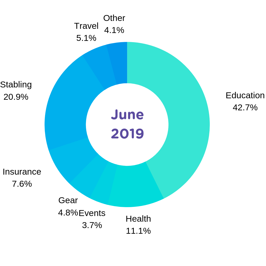 cost-of-owning-a-horse-june-2019-expense-report