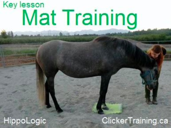 clicker-mat-training