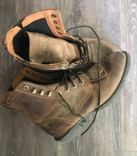 My First Paddock Boots in 20 Years (Ariat Heritage Review) - Horse Rookie