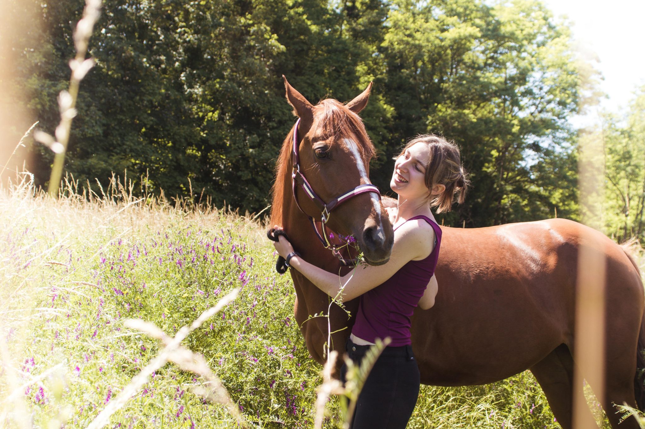 What gear do you need to ride horses as an adult? Horse Rookie
