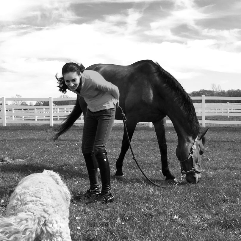 3 Tips for Horse Riding With Epilepsy (and Confidence) Horse Rookie