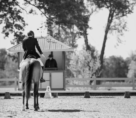 3 Tips for Horse Riding With Epilepsy (and Confidence) - Horse Rookie