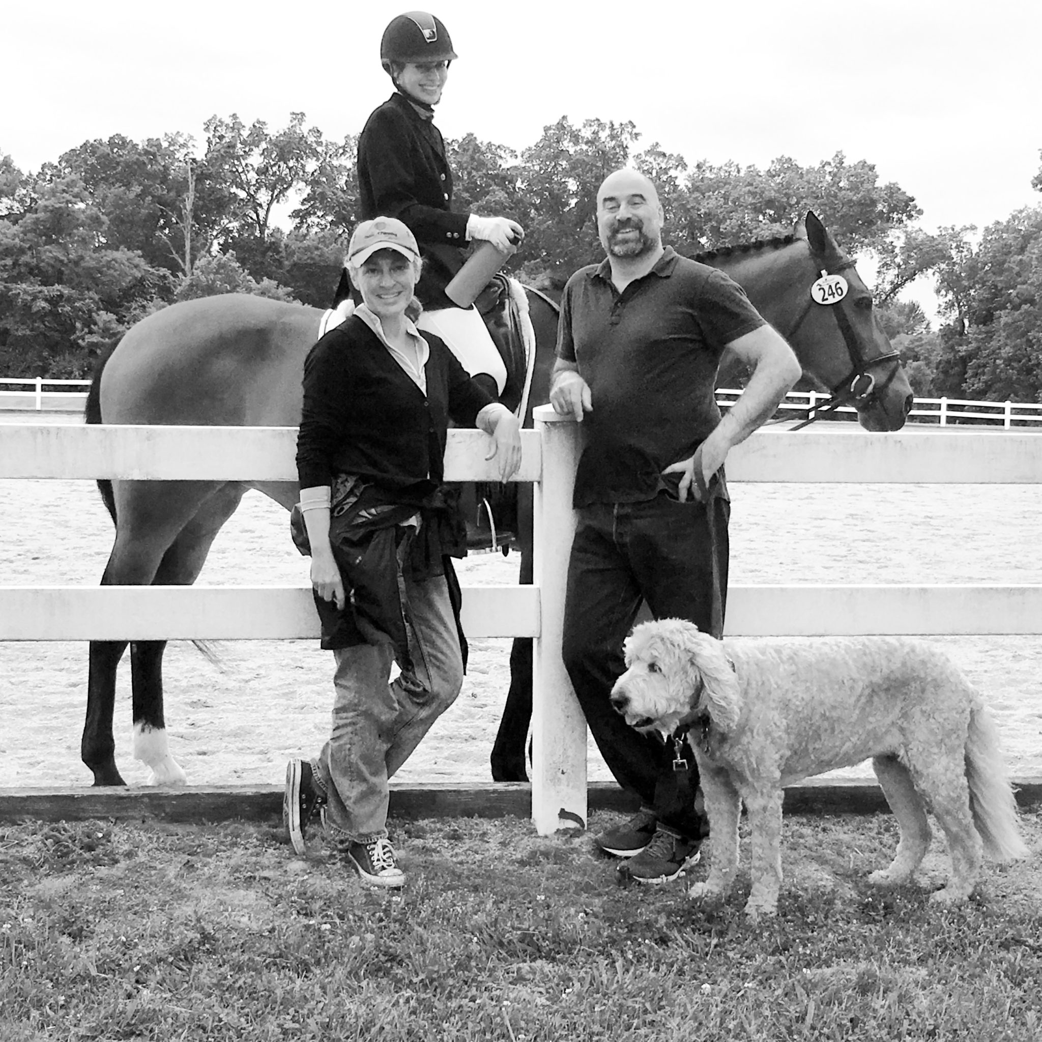 3 Tips for Horse Riding With Epilepsy (and Confidence) Horse Rookie