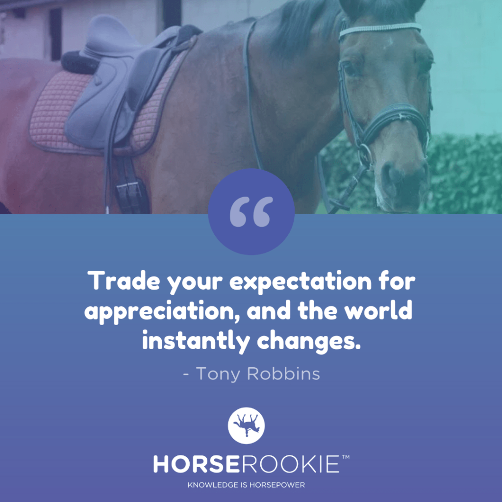 Expectations-Quote-Horse