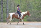 overcome horse riding fear