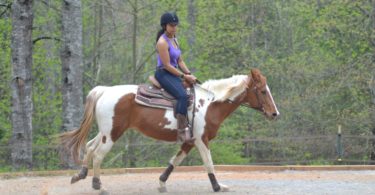 overcome horse riding fear
