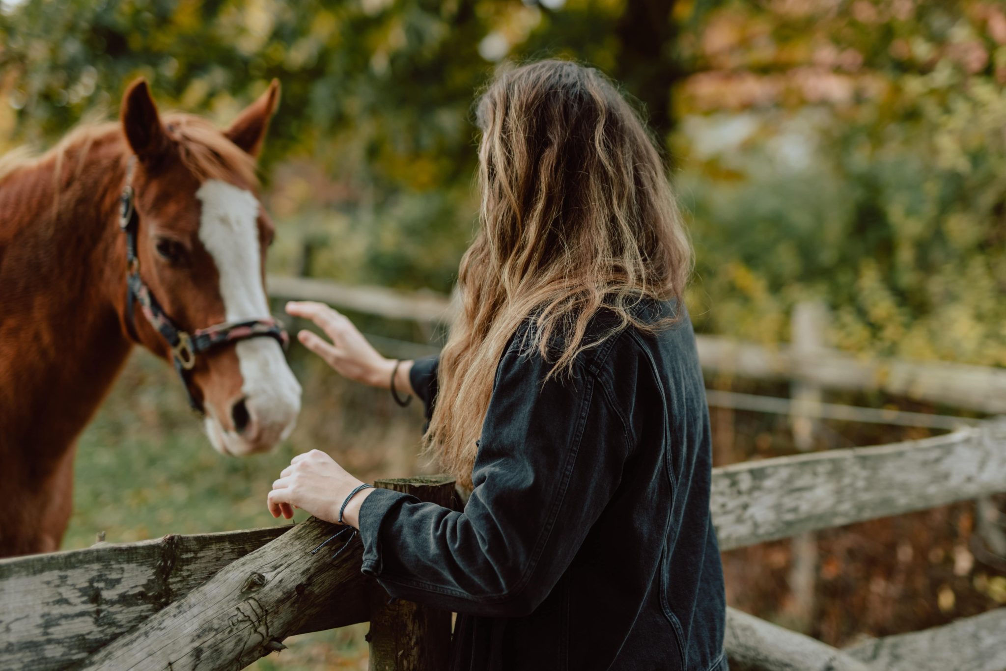 Do horses know if you're scared of them?