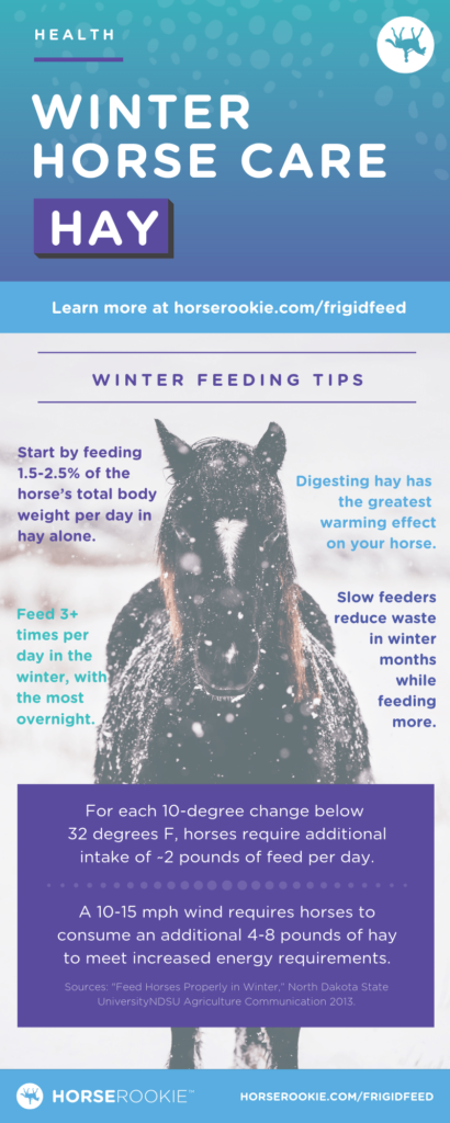 Horse Winter Horse Care Tips About Hay