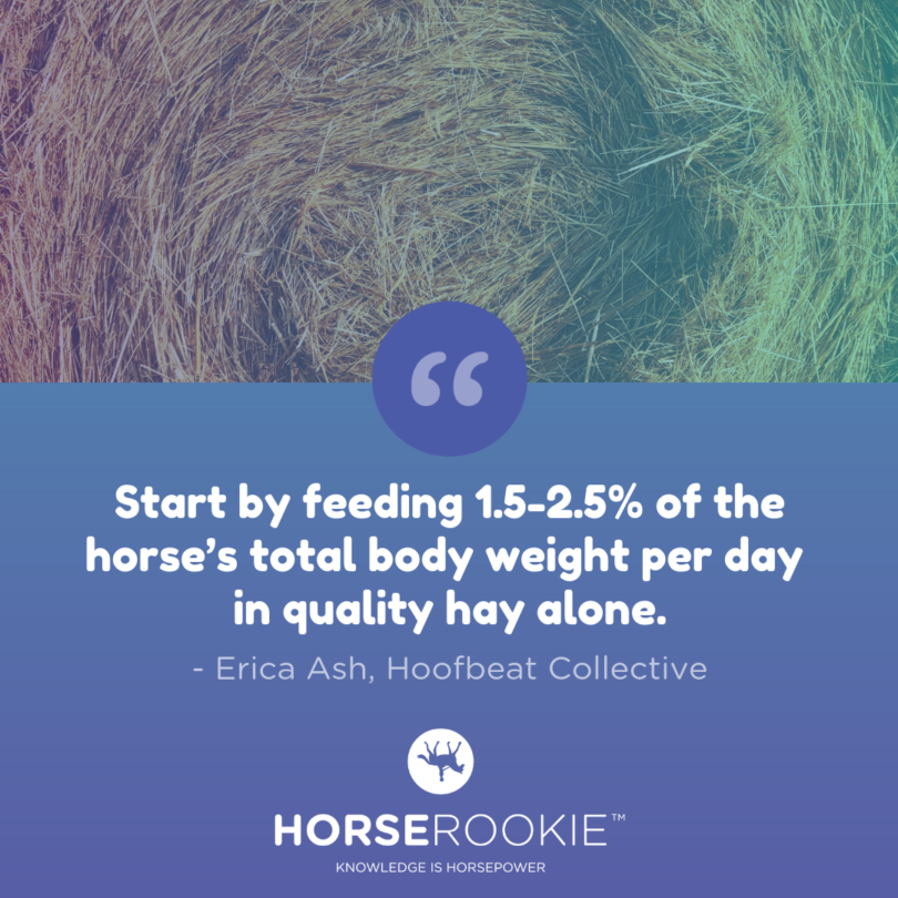 winter-hay-101-how-much-to-feed-your-horse-and-why-horse-rookie