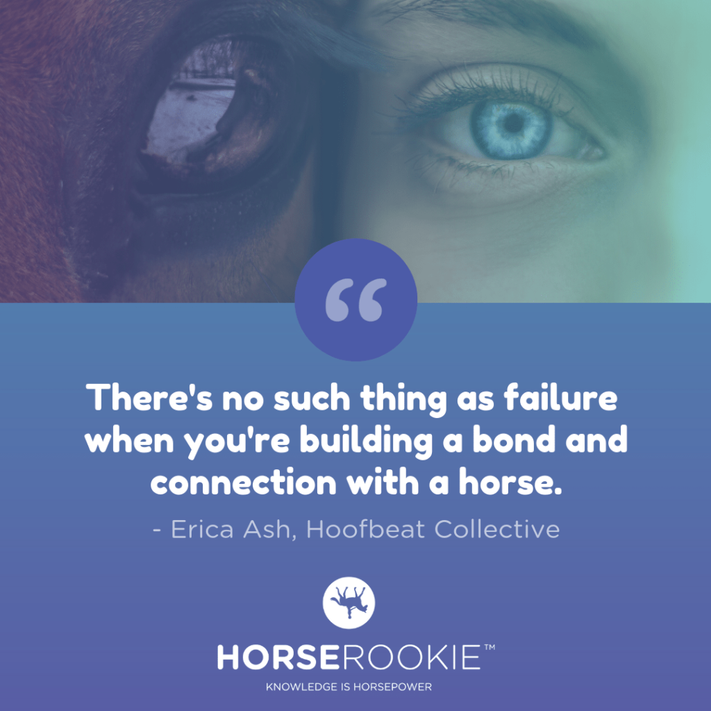 Inspirational Quote About Horse Connection