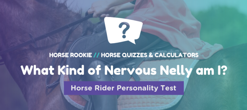 nervous rider personality test