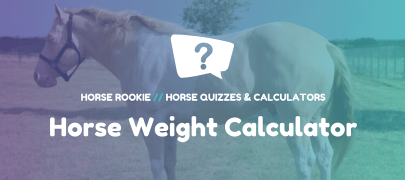 Free Online Horse Weight Calculator