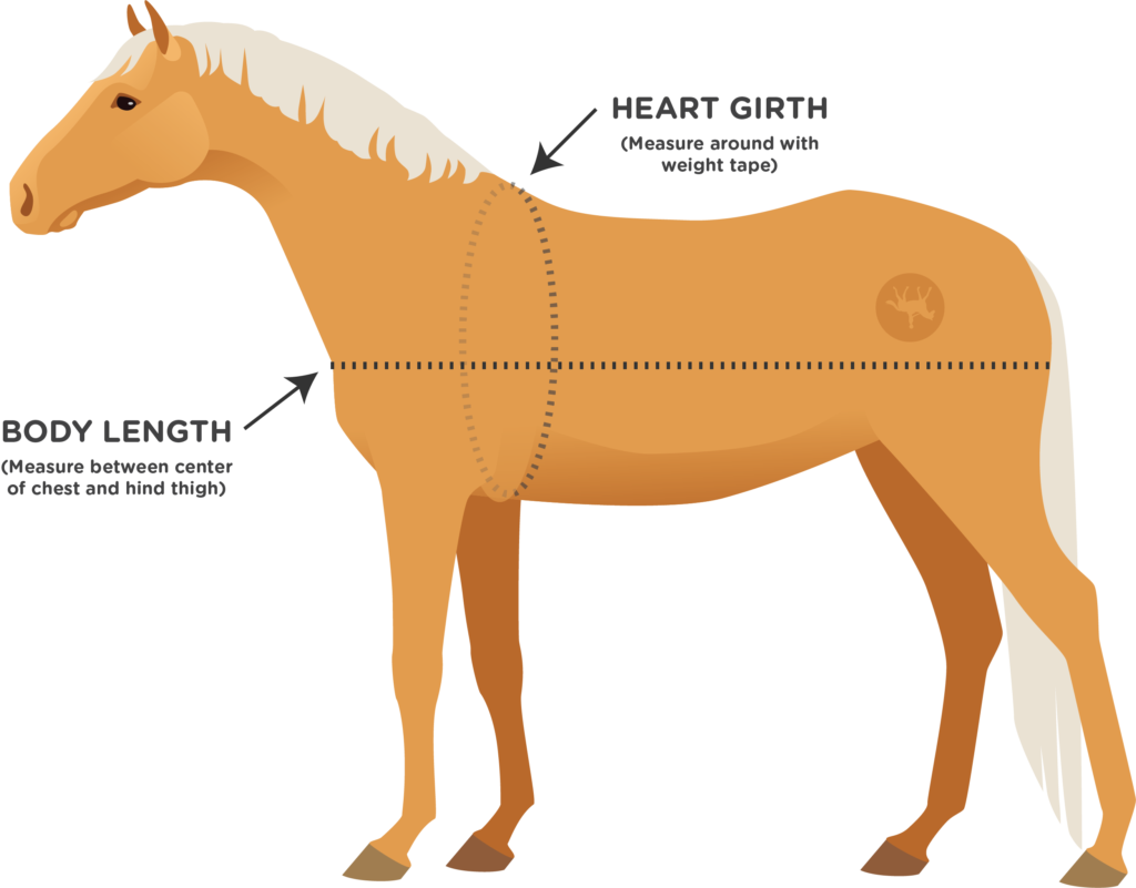 How to Measure Your Horse