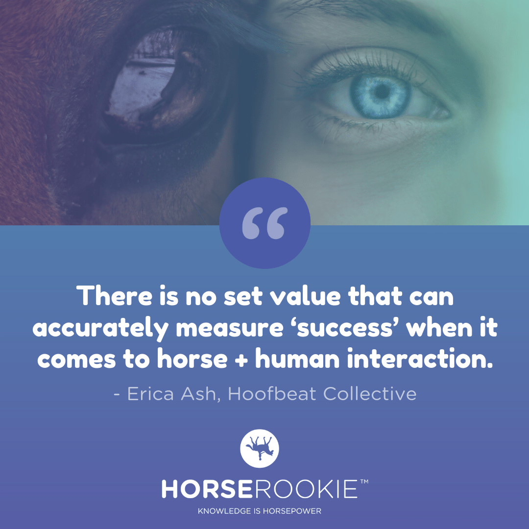 3 FearFree Secrets to Gain Your Horse’s Trust & Respect