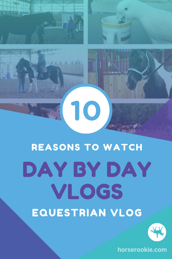 10 Reasons to Love Day by Day Vlogs