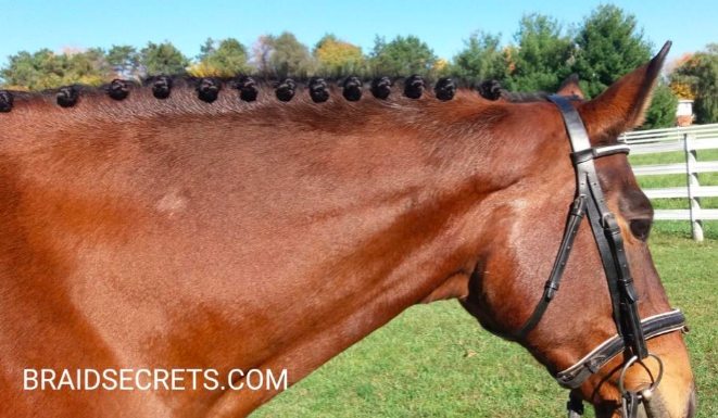 easy-mane-braids