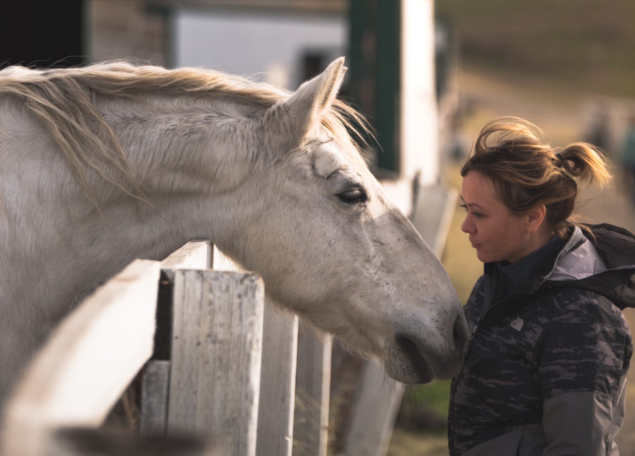 How to handle and educate vicious horses. PART FOURTH. AGES OF