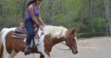 horse riding lessons
