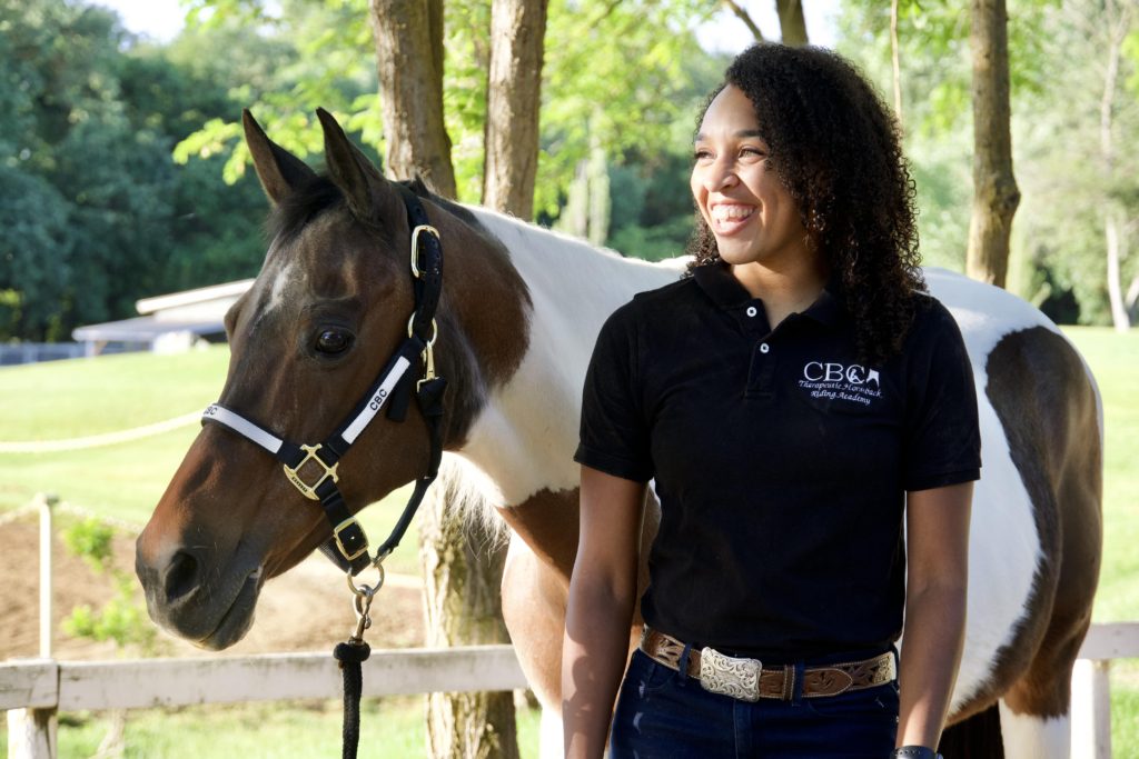 Estimate Your Average Horse Cost (State by State) Horse Rookie