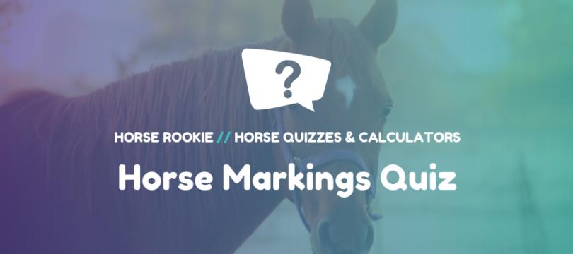 Horse Markings Quiz
