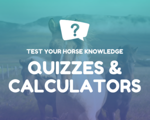 Horse Quizzes and Calculators