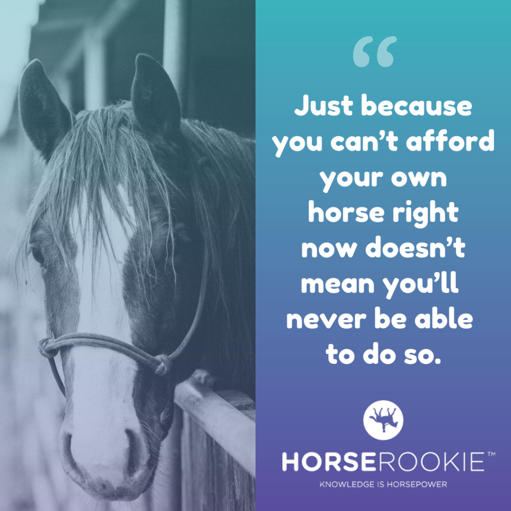 Horse Ownership Quote