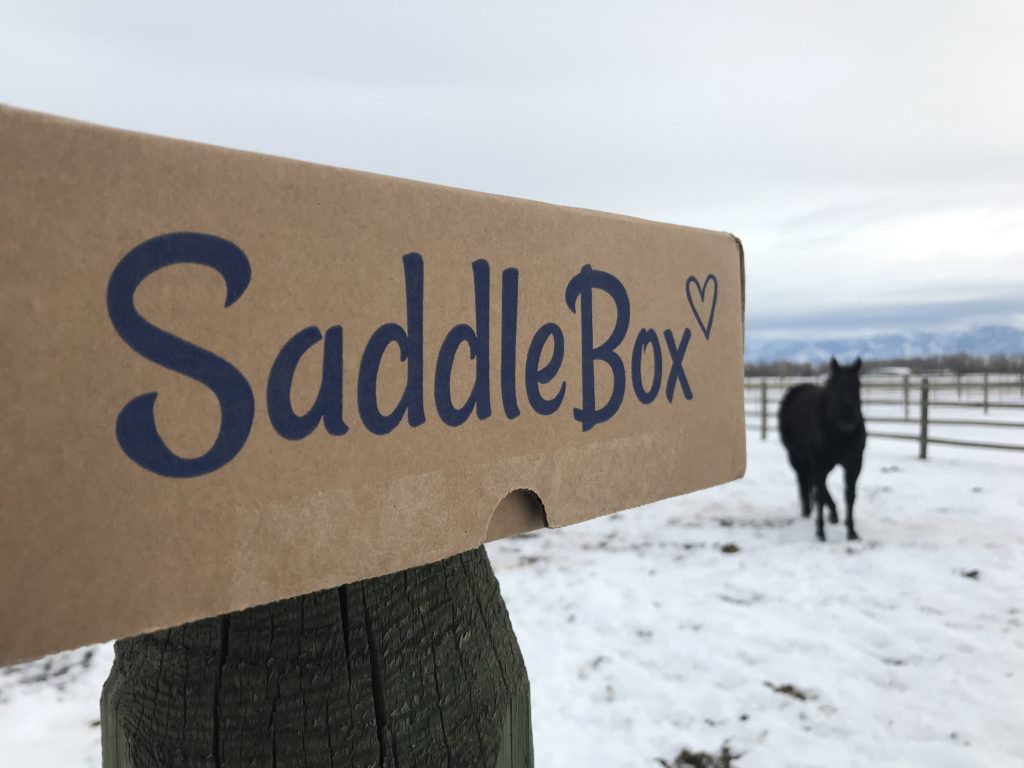 saddlebox equestrian subscription box