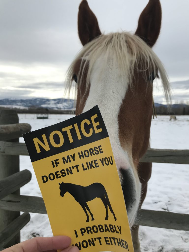 horse doesnt like you sticker