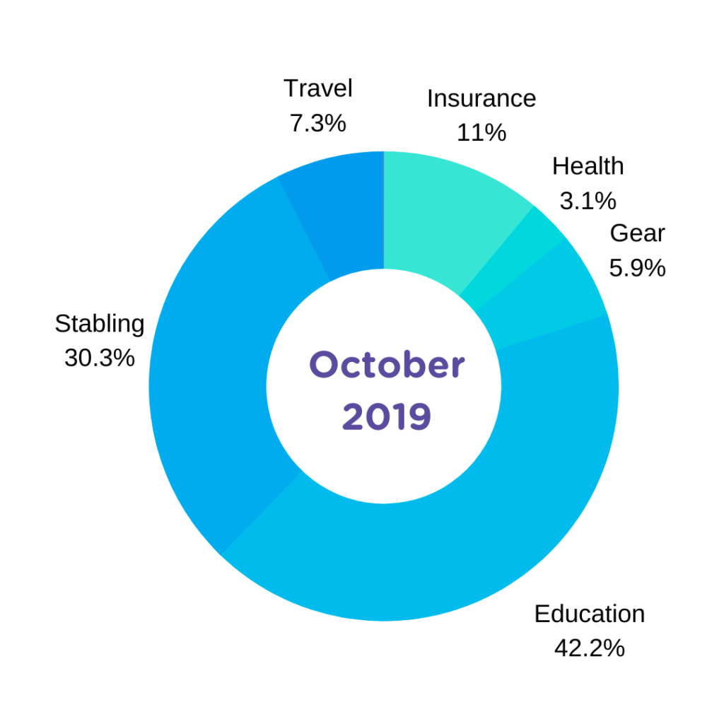 Cost of Owning a Horse October 2019 Expense Report Horse Rookie