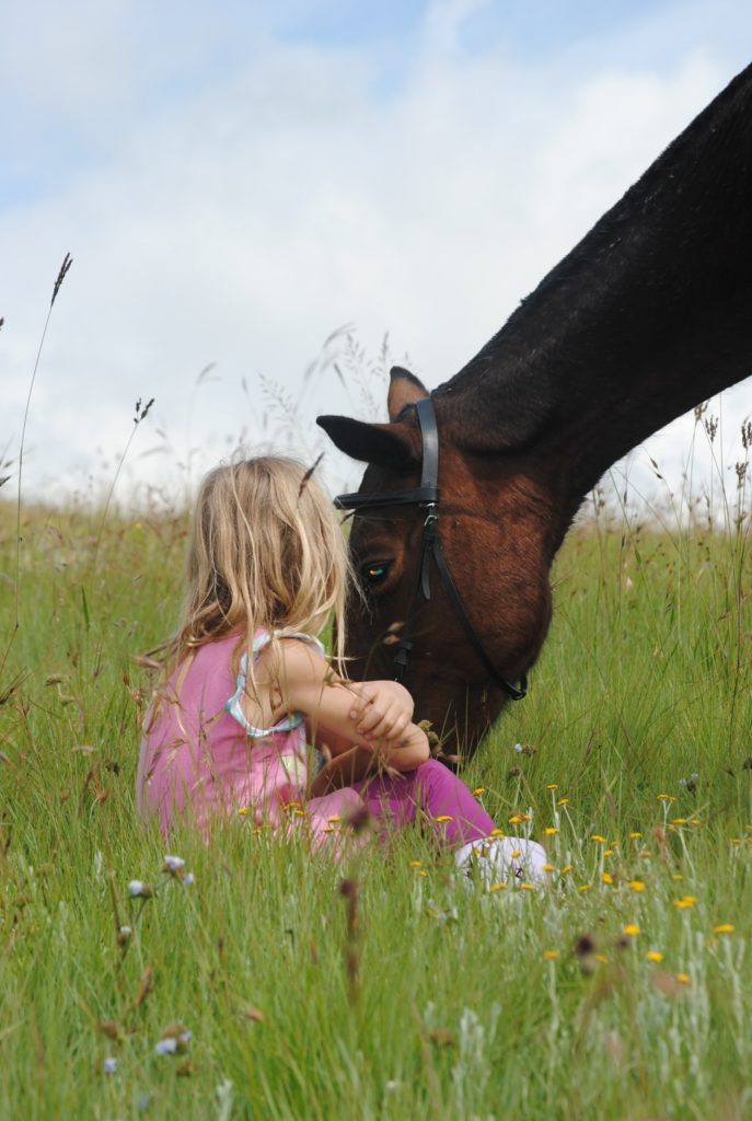 kid with horse