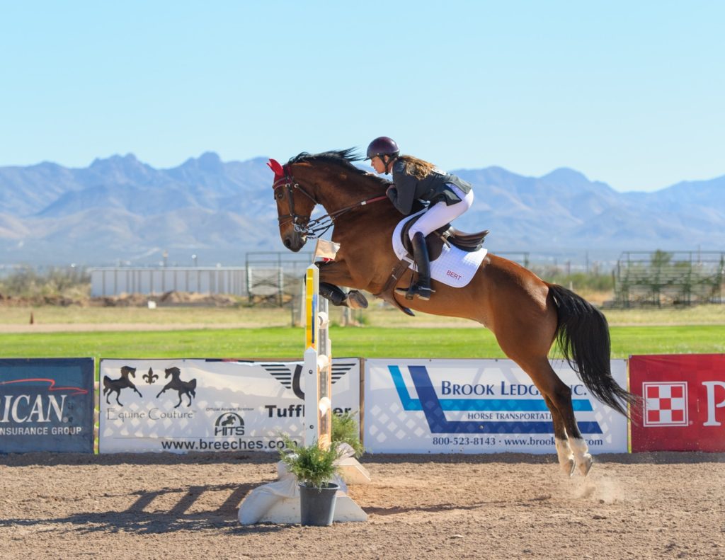 What Is The Correct Jumping Position For Horse Riders?