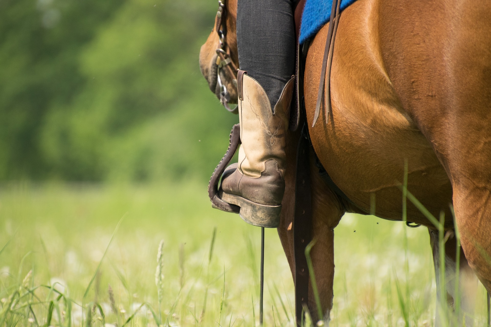 7 Best Steel Toe Cowboy Boots for Hard-Working Women - Horse Rookie