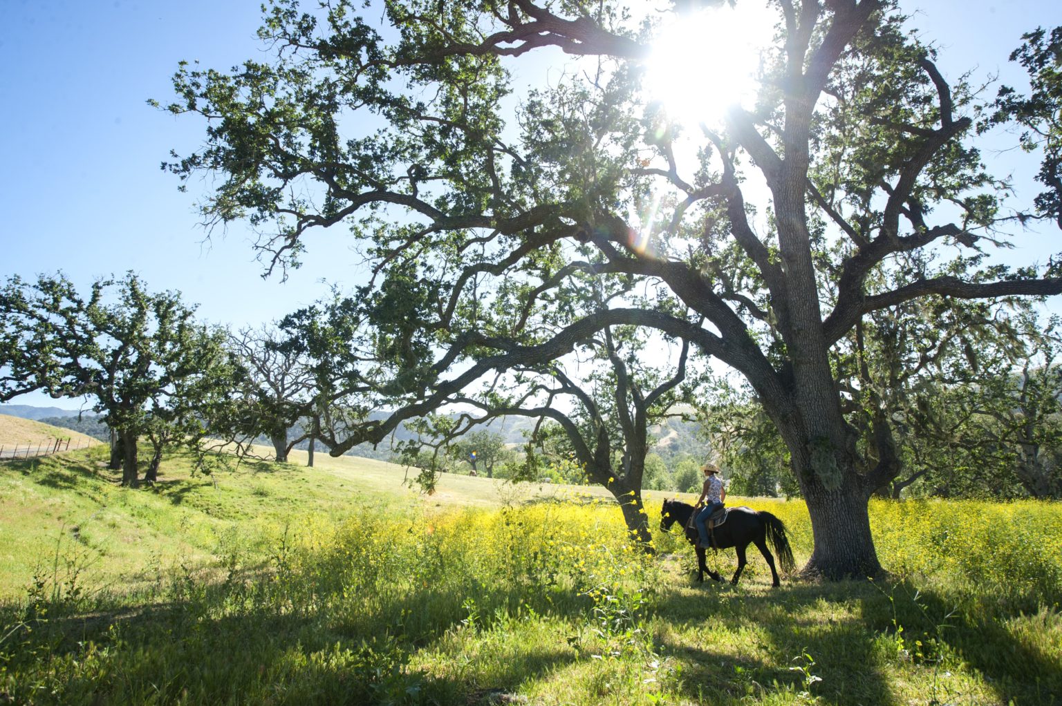 7 Best Horseback Riding Vacations for Single Travelers Horse Rookie