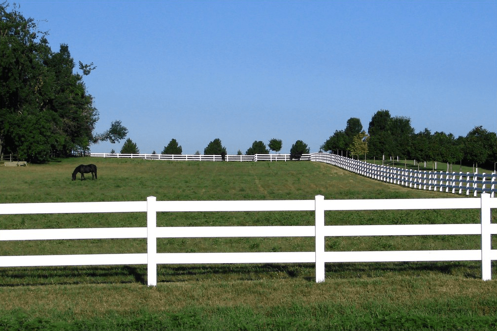 Horse Field